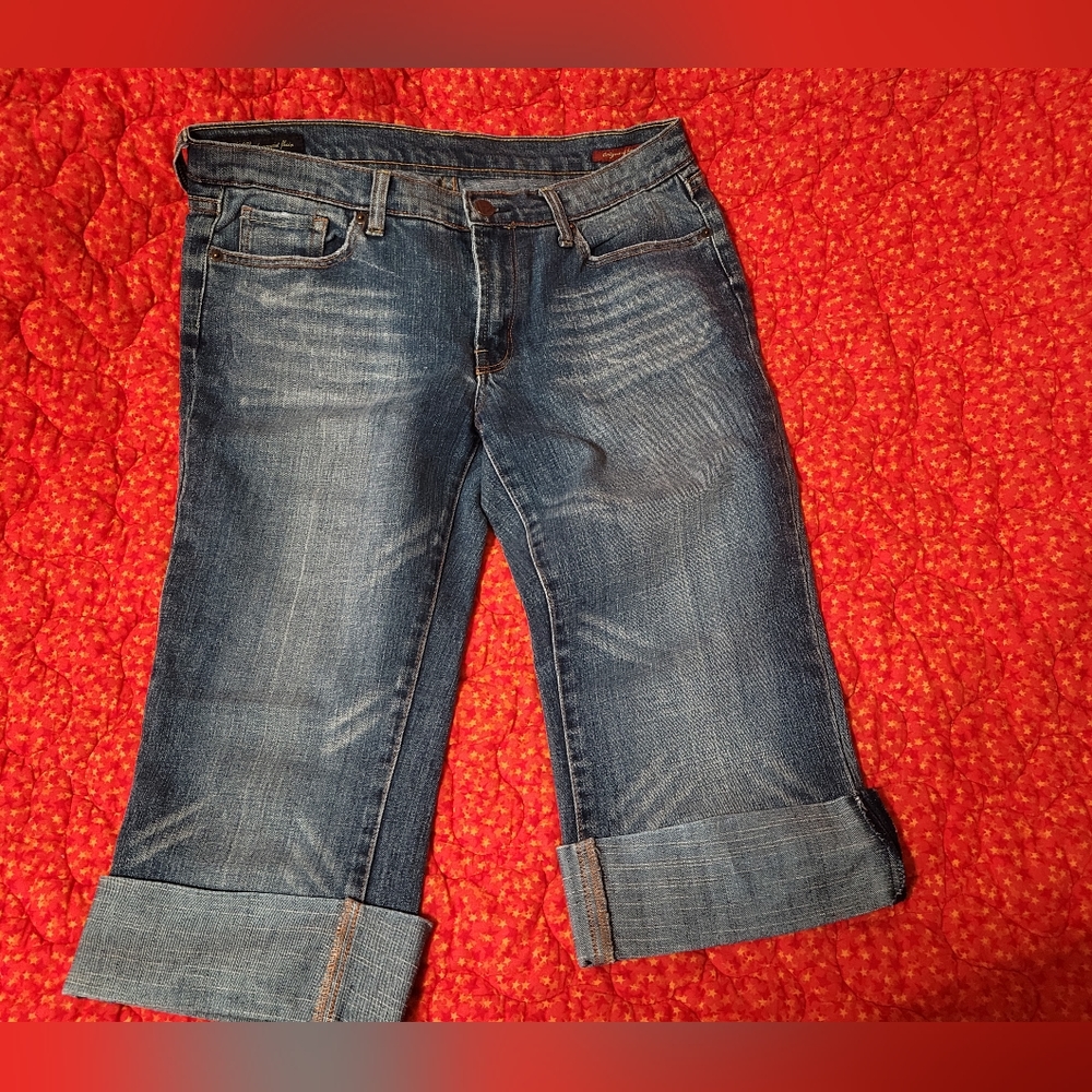 Citizen for humanity crop pants